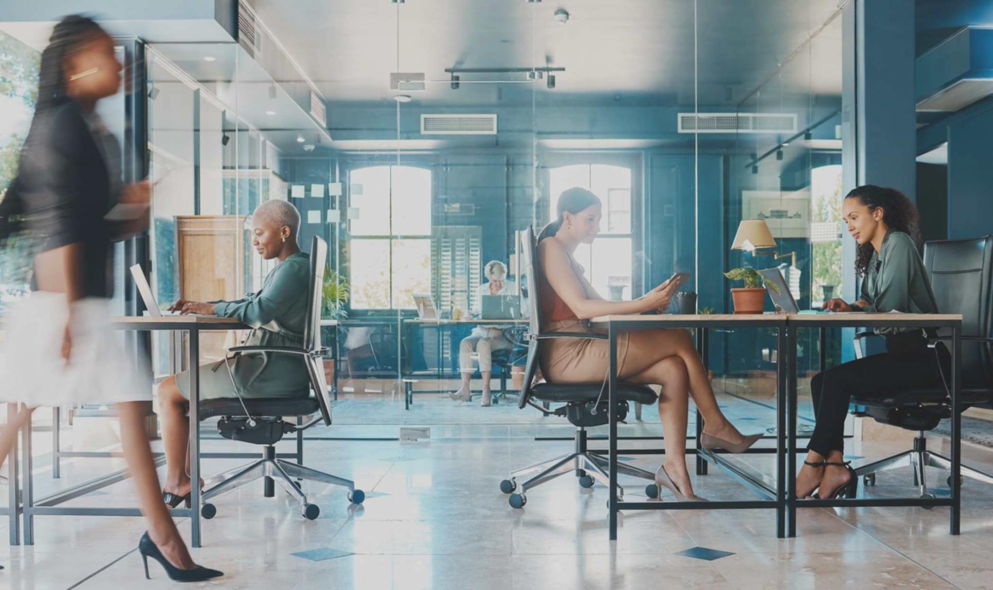 Interface de la plateforme d'apprentissage en ligne